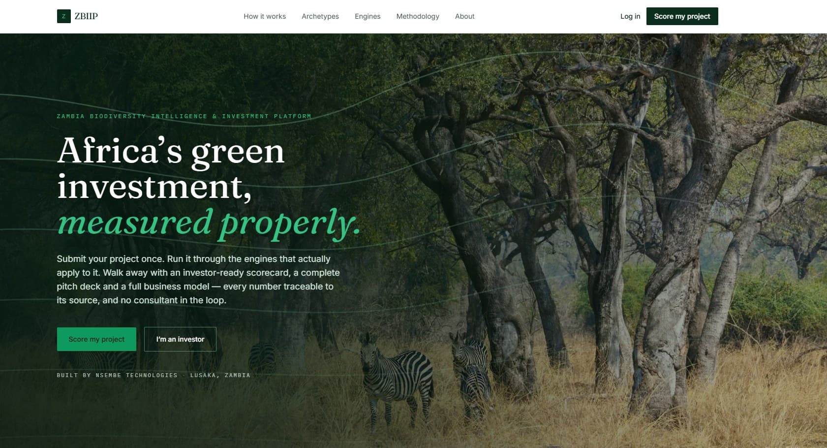 ZBIIP homepage: Africa's green investment, measured properly